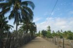 Sendero a Playa de Cauchiche