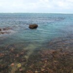 Estero del Plátano