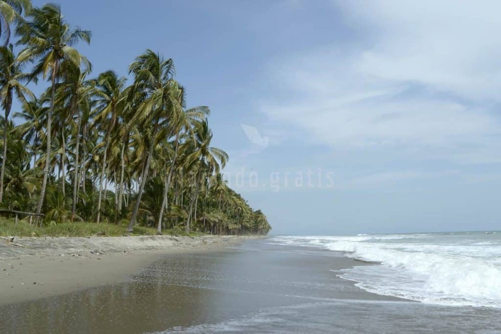 Playa de Juananú en Cojimíes