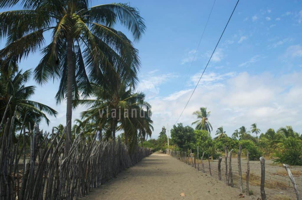 Playa Cauchiche