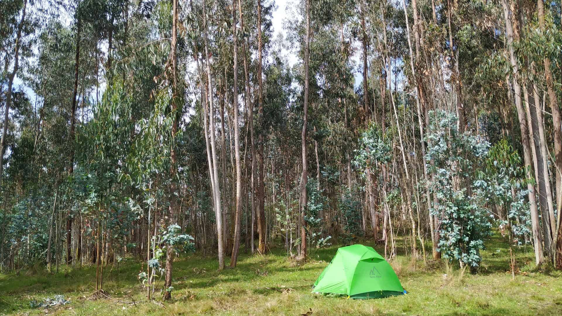 camping en loja - parque villonaco