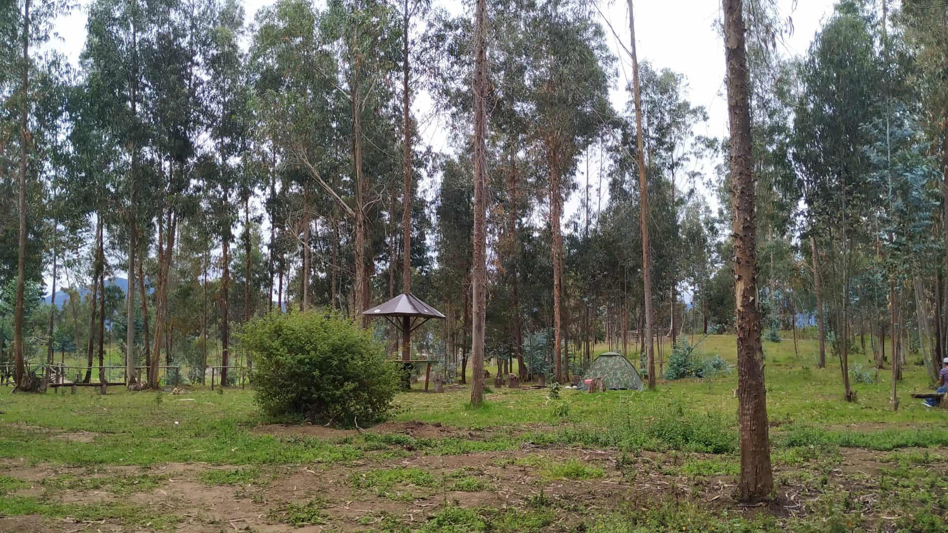 zona de camping en loja - laguna de carigán villonaco