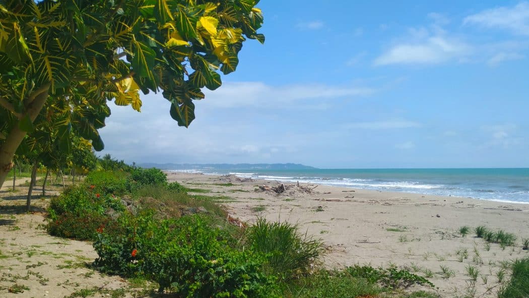 Don Juan - Jama, Manabí, Ecuador