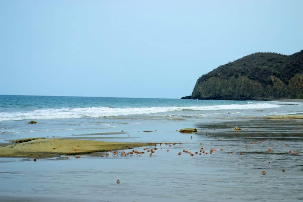 Salaite, Manabí, Ecuador