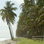 Playa de Juananu en Cojimíes, Manabí