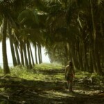 Camino de Palmeras en Cojimíes