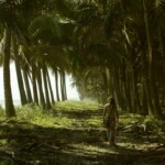 Camino de Palmeras en Cojimíes