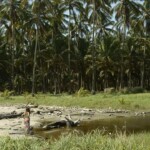 Laguna en Playa de Juananu