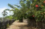 Camino en Playa de Cauchiche
