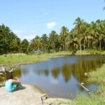 Lago en Cojimíes