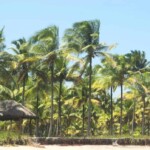 Isla Portete en Esmeraldas