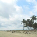 Isla Portete con Pallmeras