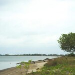 Estero de Isla Portete