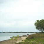 Estero de Isla Portete