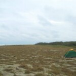 Acampando en Isla Jupiter