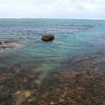 Estero del Plátano